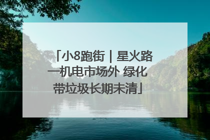 小8跑街｜星火路一机电市场外 绿化带垃圾长期未清